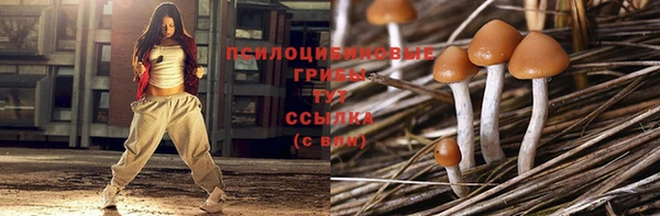 2c-b Усолье-Сибирское