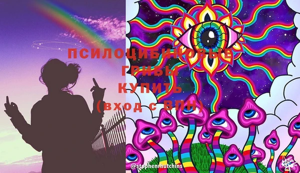 кокс Тутаев