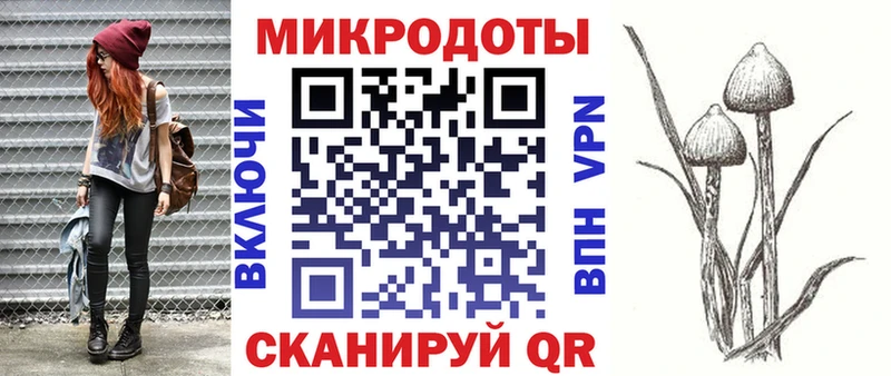 Галлюциногенные грибы мухоморы  дарк нет состав  Ленинградская 