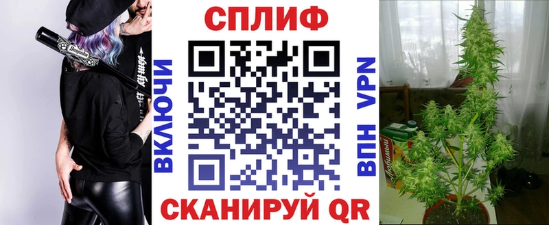 Каннабис индика  купить  цена  Ленинградская 